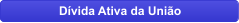 Dvida Ativa da Unio